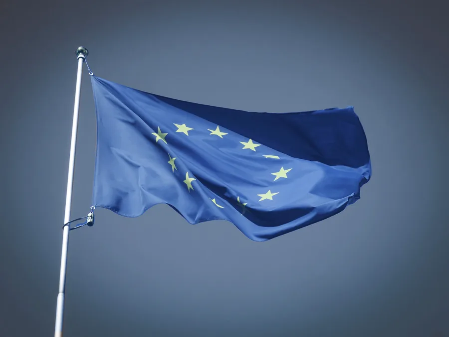 European Union Flag